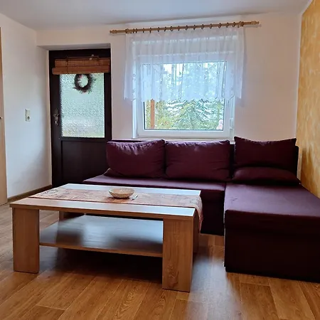 Ferienwohnung Blick Zum Zirkelstein Reinhardtsdorf-Schona Exterior photo